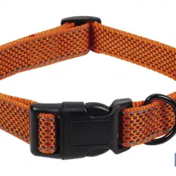 Collar Reflectante para Perros | Color Naranja | Medida 2,5 x 45-70 cm