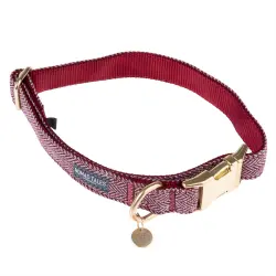 Collar Nomad Tales Calma burdeos para perros - M: 34 - 55 cm contorno de cuello, 20 mm de ancho