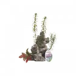 Marina deco rock - roca con plantas color Gris