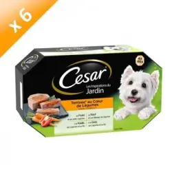 Bandejas De Terrina Cesar Con Corazones De Vegetales - 4 Variedades - Para Perros Adultos