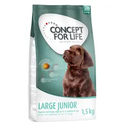 Concept for Life Large Junior - 1,5 kg