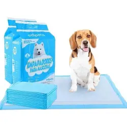 Edipets empapadores superabsorbentes olor neutro para perros