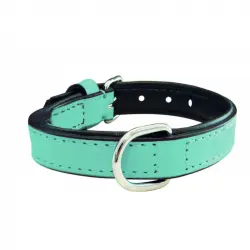 Collar Gloria Pets De Piel Acolchado Color Azul Para Perros 40cm x 20mm