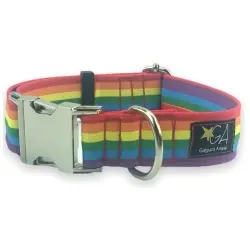 Galguita amelie collar con clic de metal multicolor para perros