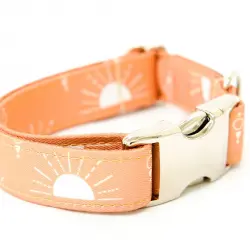 Collar SUNNY DAYS normal perro 2cm XS-S