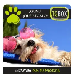 Escapada con tu mascota TGBOX