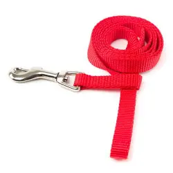 Correa para perros Basic Rojo Talla M