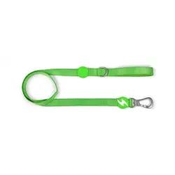 Correa de nylon para perro color Verde