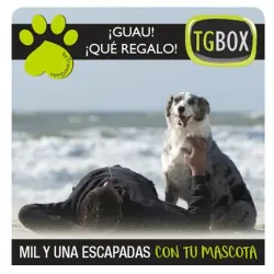 Mil y una escapadas con tu mascota TGBOX