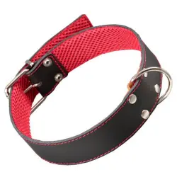 Arppe Collar de Cuero Nedgro para perros