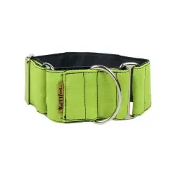 Collar Martingale para perros color Pistacho