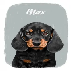 Mascochula max retrato realista personalizado en digital con tu mascota gris