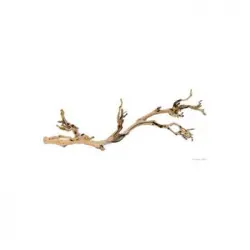 Exo Terra Rama Forest Branch L 60 Cm