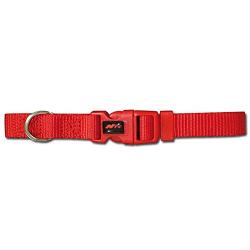 Collar para perros Basic Rojo Talla S