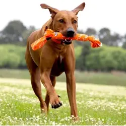 Pelota naranja de cuerda con plumas para gatos 13, 0.17 kg