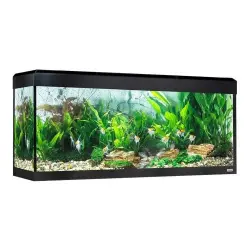 Acuario Roma Led Bluetooth para peces color Negro