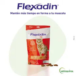 Vetoquinol Flexadin Adult Condroprotector para gatos