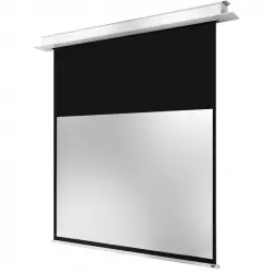 Celexon Professional Plus Pantalla de Proyección Eléctrica Empotrable 300x187cm