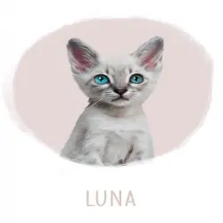 Mascochula luna retrato realista personalizado con tu mascota en lámina rosa palo