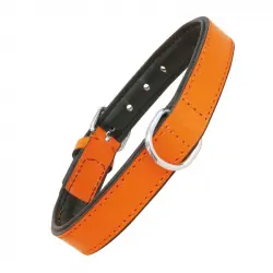 Collar Gloria Pets De Piel Acolchado Color Naranja Para Perros 40cm x 20mm