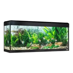 Acuario Roma Led Bluetooth para peces color Negro