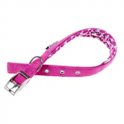 Collar Nylon Daytona C Purple para perros Ferplast, Tallas 45 - 53 Cms