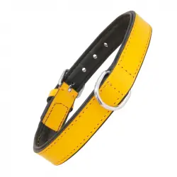 Collar Gloria Pets De Piel Acolchado Color Amarillo Para Perros 55cm x 25mm