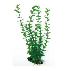 Nayeco Planta Artificial Rotala para acuarios