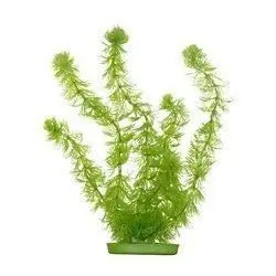 Aqua Hornwort Planta Artifical de Decoración para acuarios