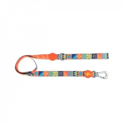 Dashi terracotta correa de poliéster multicolor para perros