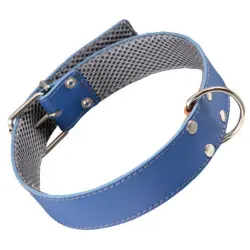 Arppe Collar de Cuero con Forro Azul para Galgos