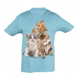 Camiseta Niño Gatitos color Azul