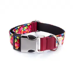 Collar Pamppy diseño Funny chocolatinas color Multicolor