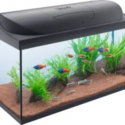 Kit Tetra Starter Line LED Diurna/Nocturna Acuario 80L