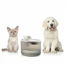 Fuente Para Gatos Recargable Con Sensor Refopet Innovagoods