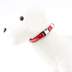 Envy Wild Forever Collar Rojo para perros