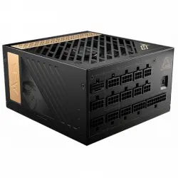 MSI MEG Ai1300P PCIE5 1300W 80 Plus Platinum Full Modular