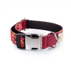 Collar Pamppy Funny caramelos para perros color Multicolor