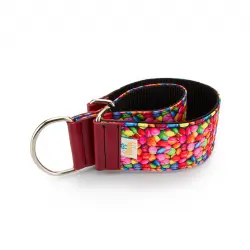 Collar Pamppy Galgo Speedy Caramelos para perros