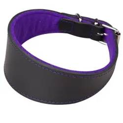 Arppe Superfelt Collar de Cuero Negro con morado para Galgos