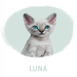 Mascochula luna retrato personalizado en lámina con tu mascota verde agua