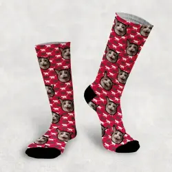 Calcetines personalizados Cat 1 mascota color Rojo