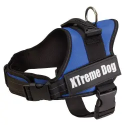 Arnés para perros Arquivet Xtreme color azul