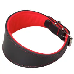 Arppe Superfelt Collar de Cuero Negro para Galgos