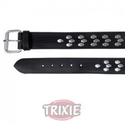 Trixie Collar Active Con Remaches L