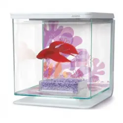 Marina Betta Kit - Flower