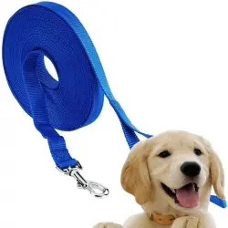 Edipets correa de adiestramiento extensible de nylon azul oscuro para perros