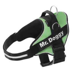 Arnés personalizado Super Doggy para perros color Verde