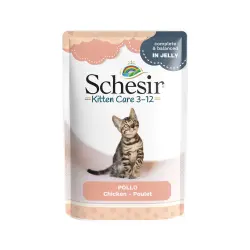 Schesir bolsitas 6 x 85 g en gelatina - Kitten con filete de pollo