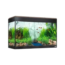 Acuario para peces Hagen Roma Led Bluetooth